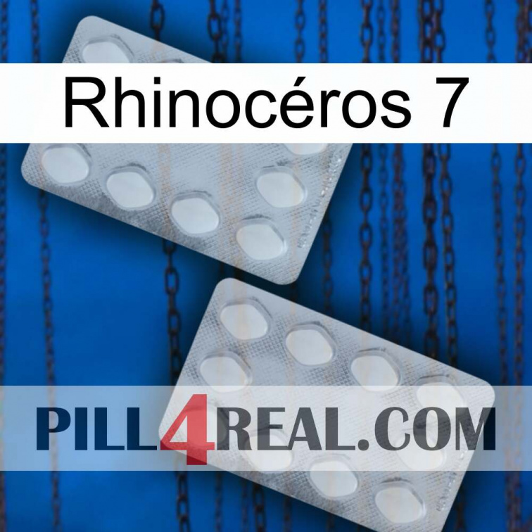 Rhinocéros 7 17